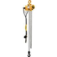 Budgit&reg; Air Chain Hoists Toolneeds Inc.