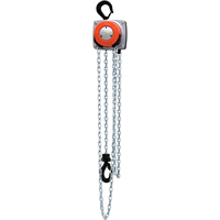Hurricane 360° Chain Hoist, 10' Lift, 1000 lbs. (0.5 tons) Capacity, Steel Chain Toolneeds Inc.