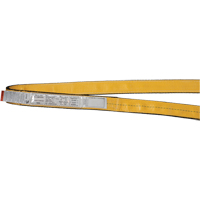 &eacute;lingues de levage en nylon, Pli Simple, Sans fin, Type 5, 1" la x 3' lo, Limite de charge verticale 3200 lb Toolneeds Inc.