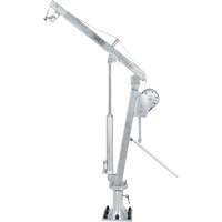 Grue &agrave; fl&egrave;che pour camion actionn&eacute;e par treuil, Capacit&eacute; de 1000 lb (0,5 tonne), Limite de 97" Toolneeds Inc.