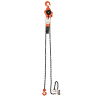 Lever Chain Hoist, 5' Lift, 3000 lbs. (1.5 tons) Capacity, Alloy Steel Chain Toolneeds Inc.