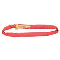 Polyester Round Sling, Red, 3" W x 10' L, 14000 lbs. Vertical Load Toolneeds Inc.