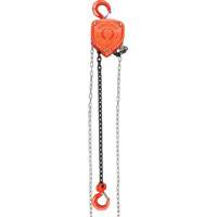 Chain Hoist, 10' Lift, 10000 lbs. (5 tons) Capacity, Alloy Steel Chain Toolneeds Inc.