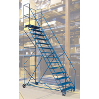 Escabeau roulant certifi&eacute; par la CSA avec pied verrouillable, 14 marches, Largeur de la marche 30", Hauteur de la plateforme 128", Acier Toolneeds Inc.