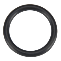 O Ring, Plain Toolneeds Inc.
