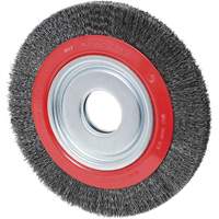 Crimped Wire Wheel, 6" Dia., 0.02" Fill, 1/2"/2"/5/8" Arbor Toolneeds Inc.