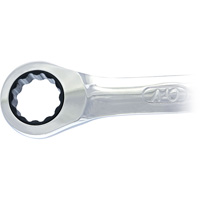 Non-Reversible Long Pattern Ratcheting Combination Wrench, 19 mm, Plain Finish Toolneeds Inc.