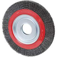 Crimped Wire Wheel, 10" Dia., 0.02" Fill, 2" Arbor Toolneeds Inc.