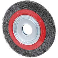 Crimped Wire Wheel, 10" Dia., 0.014" Fill, 2" Arbor Toolneeds Inc.