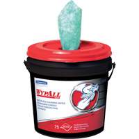 Wipers, Wipes & Rags