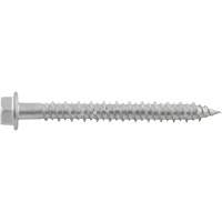 Aggre-Gator Concrete Screw, 1/4" x 1-1/4" L, Stainless Steel Toolneeds Inc.