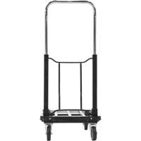 Fold-Up Platform Truck, Stainless Steel, 300 lbs., 28" L x 16" W, 33-1/2" High Toolneeds Inc.