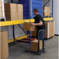 Fold-Up Platform Truck, Stainless Steel, 300 lbs., 28" L x 16" W, 33-1/2" High Toolneeds Inc.