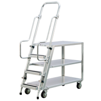 Aluminum Stock Picking Ladder Cart, Aluminum, 22" W x 51-1/2" D, 3 Shelves, 800 lbs. Capacity Toolneeds Inc.