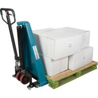 Manual Scissor Skid Lift, 45-1/4" L x 27" W, Steel, 3300 lbs. Capacity Toolneeds Inc.