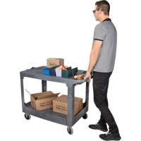 Chariot utilitaire pour l'entretien avec tablette plate, 2 tiers, 25-1/4" x 32-1/4" x 44", Capacit&eacute; 550 lb Toolneeds Inc.