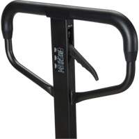 Quick-Lift Manual Pallet Truck, Steel, 48" L x 20.5" W, 5500 lbs. Capacity Toolneeds Inc.