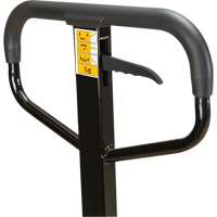 Manual Pallet Truck, Steel, 48" L x 27" W, 5500 lbs. Capacity Toolneeds Inc.