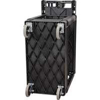 Chariot utilitaire, 2 tiers, 17-1/8" x 33-1/2" x 37-5/8", Capacit&eacute; 550 lb Toolneeds Inc.