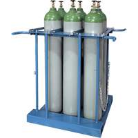 6-Cylinder Forklift Cylinder Storage Caddy Toolneeds Inc.