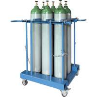 6-Cylinder Forklift Cylinder Storage Caddy Toolneeds Inc.