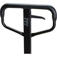 Steel Wheel Pallet Truck, Steel, 48" L x 27" W, 5500 lbs. Capacity Toolneeds Inc.