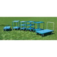 Heavy-Duty Platform Truck, 48" L x 24" W, 1200 lbs. Capacity, Flat Free Casters Toolneeds Inc.