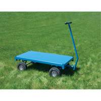 Outdoor Platform Wagon Truck, 24" W x 48" L, 1000 lbs. Capacity Toolneeds Inc.