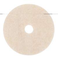 Tampon de brunissage rapide des planchers TopLine, 19", Brunissage, Beige Toolneeds Inc.