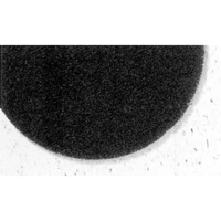 Tampons de d&eacute;capage Pro-Strip s&eacute;rie 7300, 17", D&eacute;capant, Noir Toolneeds Inc.