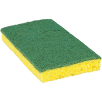 Scotch-Brite Medium Duty Scrub Sponge, Scrubbing, 3-3/5" W x 6-1/10" L Toolneeds Inc.