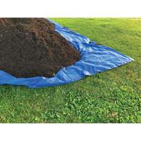 Tarp, Standard Duty, Blue, 7' x 5' x 4 mils Toolneeds Inc.