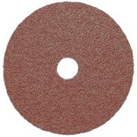 Resin Fibre Sanding Disc, Aluminum Oxide, A16, 5" Dia x 7/8" Arbor Toolneeds Inc.