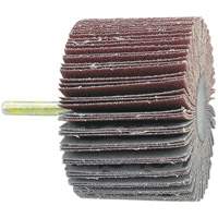 Shaft Mounted Flapwheel, 60 Grit, 1-1/2" x 1/4" Toolneeds Inc.