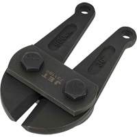 T&ecirc;te de rechange pour coupe-boulon de 36", Coupe centrale Toolneeds Inc.