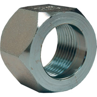 Dixon&reg; Mining Hex Nut, 1", Zinc Plated, NPT Thread Toolneeds Inc.