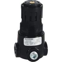 Wilkerson Miniature Regulator R03, 1/8" NPT, 300 psi Max. PSI, Standard Toolneeds Inc.