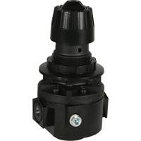 Wilkerson Regulator R26, 3/8" NPT, 300 psi Max. PSI, Standard Toolneeds Inc.