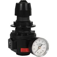 Wilkerson Regulator R26, 1/2" NPT, 300 psi Max. PSI, Standard Toolneeds Inc.