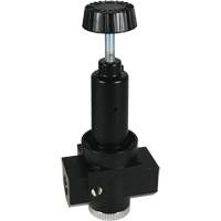 Wilkerson High Flow Regulator R30, 3/4" NPT, 300 psi Max. PSI, Standard Toolneeds Inc.