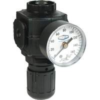 Series 1 Compact Regulator, 1/2" NPT, 150 PSI Max. PSI, Standard Toolneeds Inc.