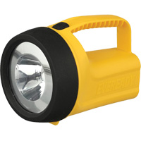 Lanterne flottante Readyflex de EverReady, DEL, 80 Lumens, Piles D Toolneeds Inc.