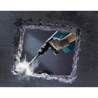 Demolition Hammer Toolneeds Inc.