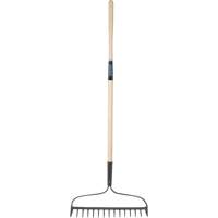 Heavy-Duty Bow Rake, Wood Handle, 58" L, 15" Blade, 15 Tines Toolneeds Inc.