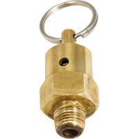 Viton&reg; Pressure Relief Valve Toolneeds Inc.