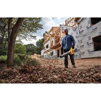 Max* FlexVolt&reg; Brushless Cordless Handheld Axial Blower, 60 V, 125 MPH Output, Battery Powered Toolneeds Inc.