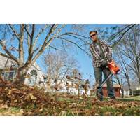 3-in-1 VacPack Leaf Blower/Vacuum/Mulcher, 250 MPH Output, Electric Toolneeds Inc.