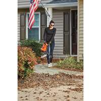 3-in-1 VacPack Leaf Blower/Vacuum/Mulcher, 250 MPH Output, Electric Toolneeds Inc.