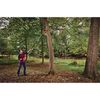 2-in-1 Pole Chainsaw Toolneeds Inc.