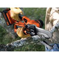 20V Max* Cordless Alligator&reg; Lopper Toolneeds Inc.